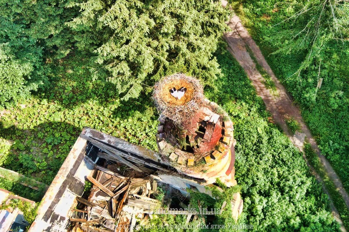 Флігель та лелеки в гніздечку Турчинівка аерофото