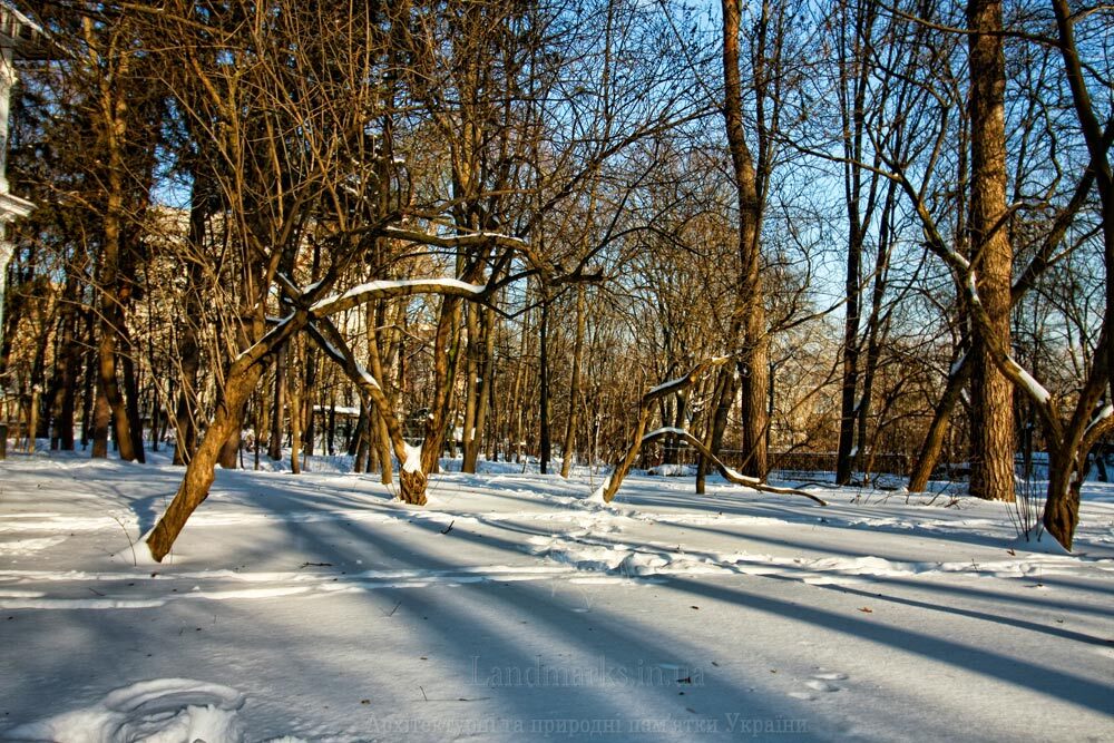 старий парк на Лукянівці