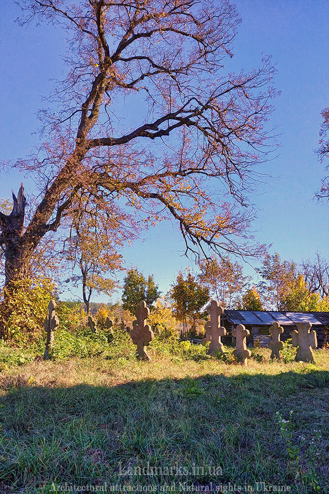 Старі цвинтарі України. Кладовище в Довгому