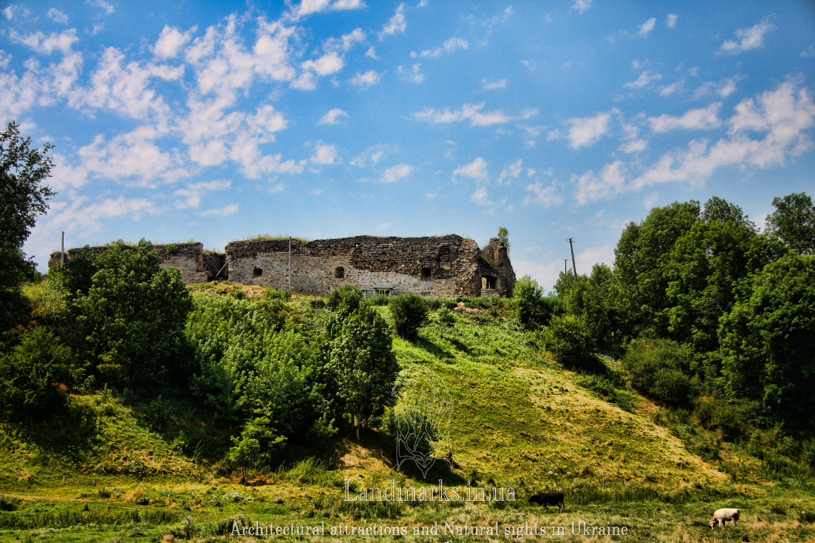 Замок в Микулинцях. Замки Тернопілля