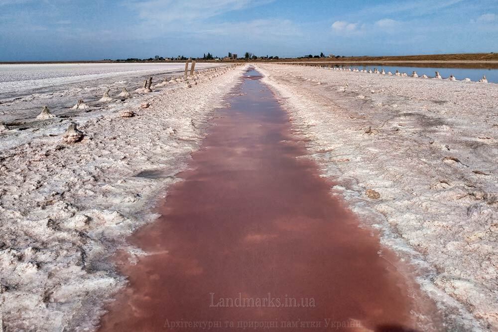 Рожева доріжка по солі Генічеського озера