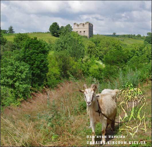 Замок в Сутківцях і коза. Тварини та фортеці
